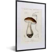 PosterMonkey Fotolijst incl. Poster - Plant - Vintage - Botanica - 40x60 cm - Posterlijst