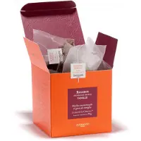 Dammann Frères - Rooibos Vanille 25 Cristalzakjes - Zachte thee - 25 composteerbare theezakjes