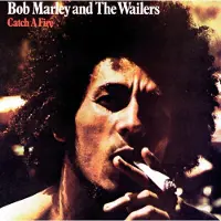 Universal Music Bob Marley & The Wailers - Catch A Fire (LP) (Reissue)