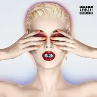POLYDOR Witness