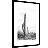 PosterMonkey Fotolijst incl. Poster Zwart Wit- Cactus - Zwart wit - Natuur - Planten - 80x120 cm - Posterlijst