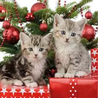 Ambiente 40x Kerstservetten met 2 kleine katjes/poesjes 33 cm - Feestservetten