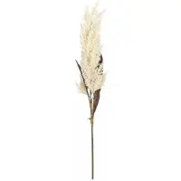 Mica Decorations pampasgras pluim losse steel/tak - creme wit - 88 cm - decoratie kunst graspluimen - Kunsttakken