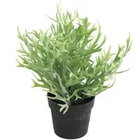 Countryfield Kunstplant Platycerium in bloempot - Groen - 20 x 24 cm - Kunstplanten