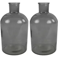 Countryfield vaas - 2x stuks - grijs glas - fles - D17 x H31 cm - Vazen