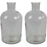 Countryfield vaas - 2x stuks - helder glas - fles - D14 x H27 cm - Vazen