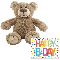 Happy horse Verjaardag cadeau knuffelbeer 22 cm met XL Happy Birthday wenskaart - Knuffelberen