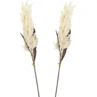 Mica Decorations pampasgras pluim losse steel/tak - 2x - creme wit - 88 cm - decoratie kunst graspluimen - Kunstplanten