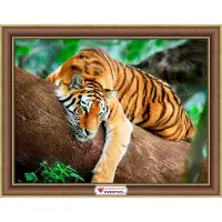 Beldizart Tijger op een boom 40*30 cm AZ-4122