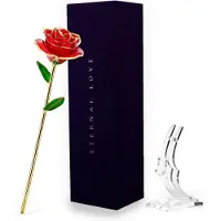 RX Goods Luxe Rode & Gouden Roos 24 Karaat Goud - 24K Vergulde Bloem - I love You Liefde Valentijn Cadeautje voor Hem & Haar - Incl. Geschenkdoos