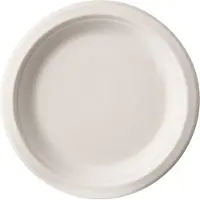 White Label Wegwerpbord suikkerriet 23 cm wit (50 stuks)