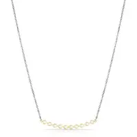 Daniel Klein DKJ.3.4027-2 - Ketting - Dames - Vrouwen - Hanger - Steenen - Zilverkleurig - Goudkleurig