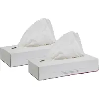 Papstar 2x doosjes met 100x stuks 2-laags papieren tissues - Feestservetten