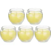 Ibergarden Citronella kaars in houder - 5x - glas - 20 branduren - geurkaarsen