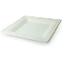 Sier 40 st. 40st. Mondial suikerriet bord vierkant - Medium
