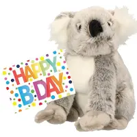 Nature Planet Pluche knuffel koala beer 25 cm met A5-size Happy Birthday wenskaart - Knuffeldier