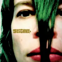 Konkurrent Superchunk - Misfits & Mistakes (Singles, B-Sides & Strays 2007-2023) (4 LP)