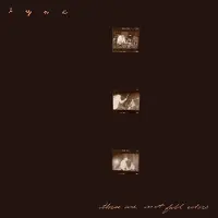 Konkurrent Lync - These Are Not Fall Colors (2 LP)