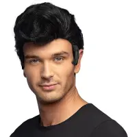 Boland - Pruik Danny Zwart - Steil - Kort - Mannen - Bekend personage - 50's - Rock & Roll- Hollywood