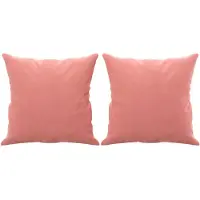 vidaXL Sierkussens 2 st 40x40 cm fluweel roze
