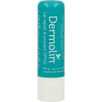 Dermolin Lip Repair & Protect Spf10 4,8 g Lippenbescherming