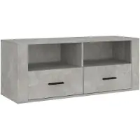 vidaXL Tv-meubel 100x35x40 cm bewerkt hout betongrijs