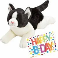 Nature Planet Pluche knuffel zwart/witte kat/poes 33 met A5-size Happy Birthday wenskaart - Knuffel huisdieren