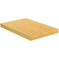 vidaXL Snijplank 60x40x4 cm bamboe