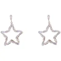 Go Dutch Label Oorknoppen sparkle star Zilver