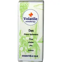 Volatile Den pinus sylvestrus