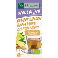 Damhert Wellbeing Thee Weerstand Gember Limoen 20 Stuks
