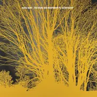 Konkurrent Nada Surf - The Stars Are Indifferent To Astronomy (CD)