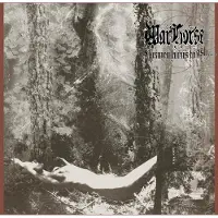 Konkurrent WarHorse - As Heaven Turns To Ash... (2 LP)
