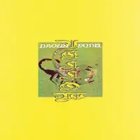 Konkurrent Naomi Punk - Yellow (2 LP)