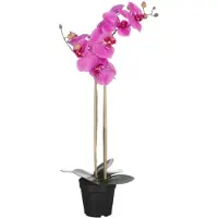 Mica Decorations Orchidee Kunstplant - Paars - 70 x 38 cm