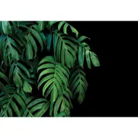 Consalnet Fotobehang - Planten - Achtergrond - Vliesbehang - (416 x 290 cm)