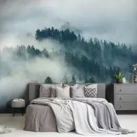 Consalnet Fotobehang - Bomen - Mist - Bos - Landschap - Natuur - (416 x 290 cm)