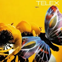 MUTE Sex LP Orange Clair