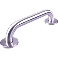 Aidapt RVS Handgreep met geborstelde afwerking - 30 cm