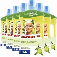 Mr. Propre 6x Allesreiniger Bergamot 1 Liter