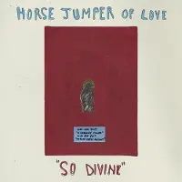 Konkurrent Horse Jumper Of Love - So Divine (LP) (Coloured Vinyl) (Limited Edition)
