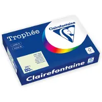 Clairefontaine Gekleurd papier Lichtgroen A4 160 grams (250 vel)