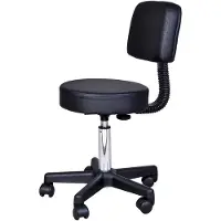Aosom Professionele Salonrolstoel met rugleuning