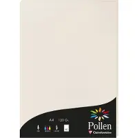 Pollen Papier
