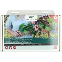 Buzzy Collection Kweekset 6 Vrolijke Bij- En Vlinderbloemen 1 Set