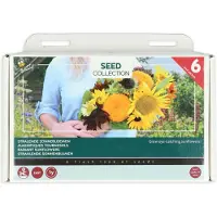 Buzzy Collection Kweekset 6 Stralende Zonnebloemen 1 Set