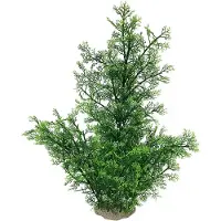 Ebi Aqua Della Aquariumplant Phoenix - Groen - 56cm
