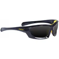 Stanley Full Frame Veiligheidsbril | Donker Glas - SY180-2D EU