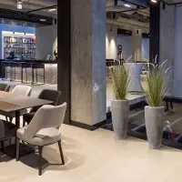 Maxifleur Kunstplanten Pennisetum Kunst Grasplant 100cm