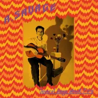 Konkurrent Andrew Savage - Several Songs About Fire (CD)